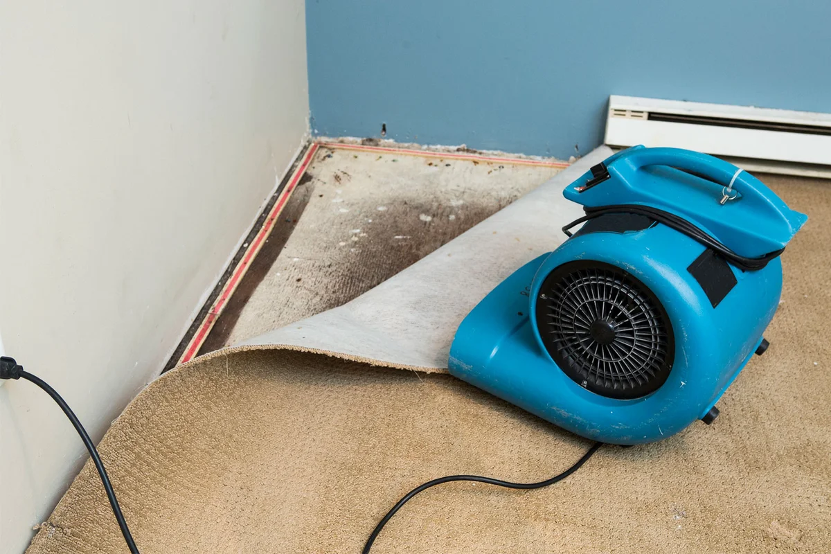 dehumidifier drying wet carpet with mildew
