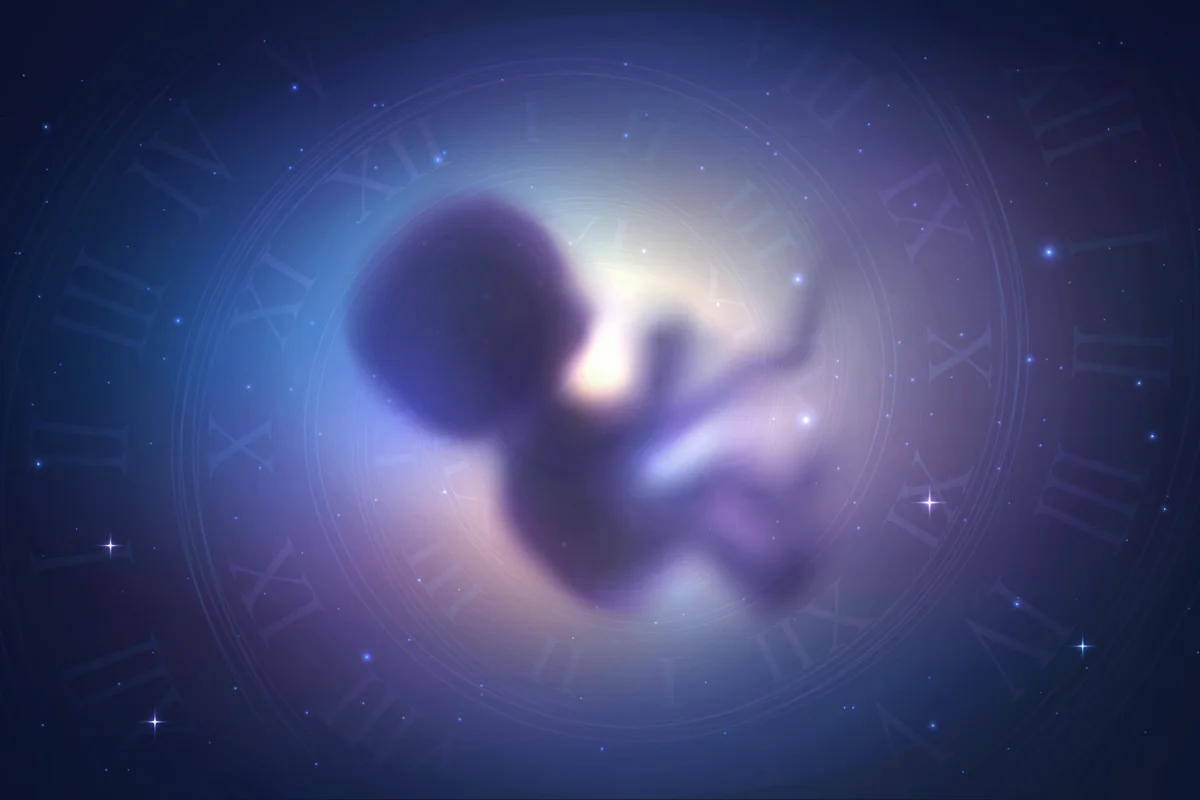 Human embryo in space
