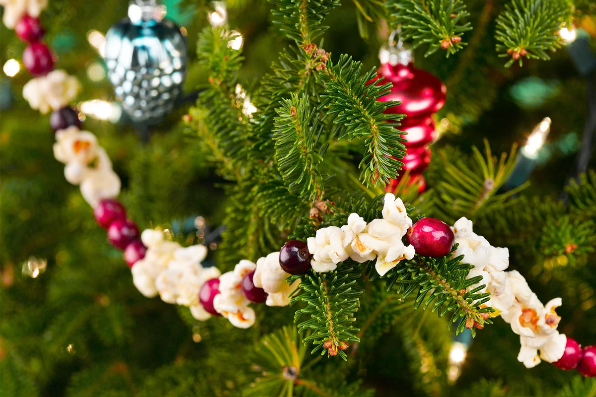 Christmas garland made of popcorn and cranberries