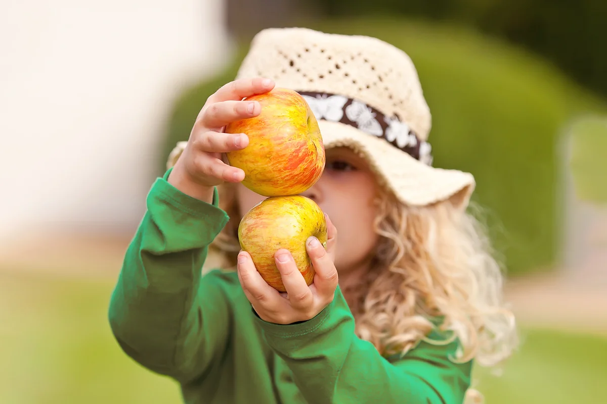 Young girl holding two organic apples.