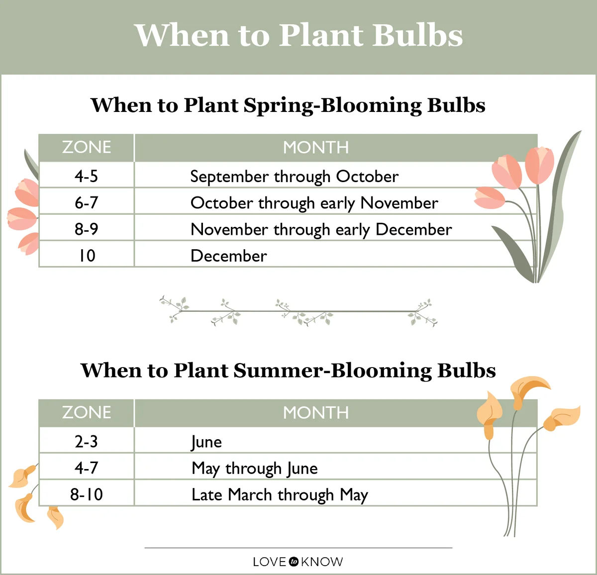 When to lant Bulbs Infographic