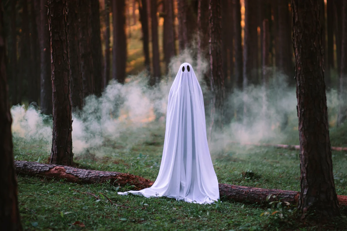 Woman Wearing Ghost Costume In Forest