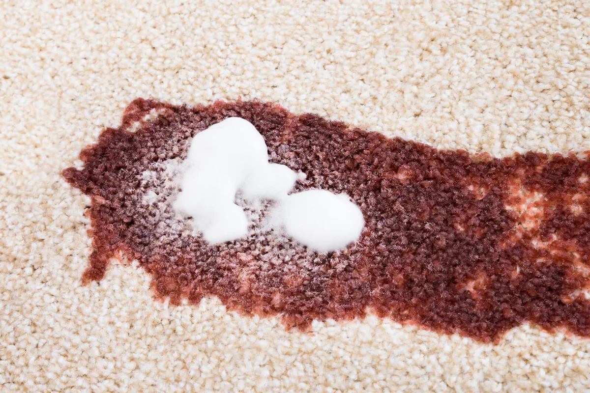 Person Spraying Cleaning Agent On Carpet
