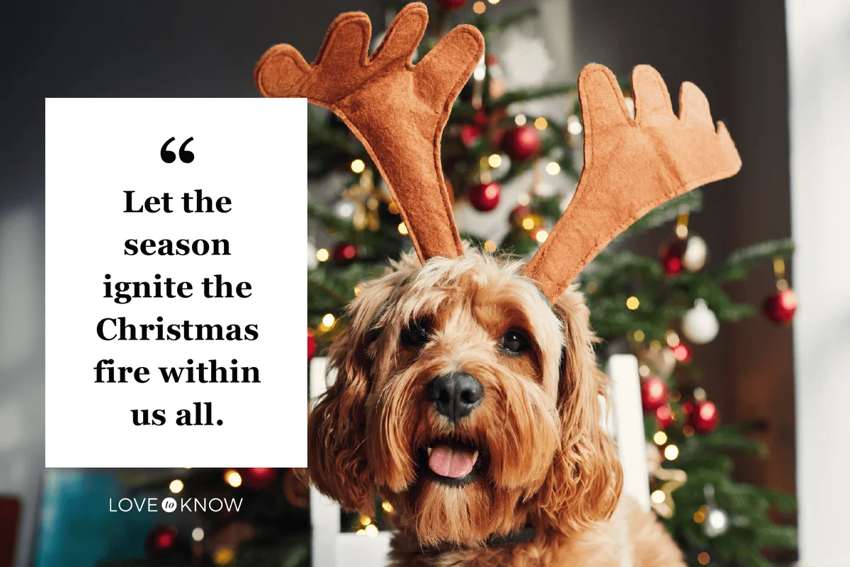 Dog wearing reindeer antlers at Christmas time
