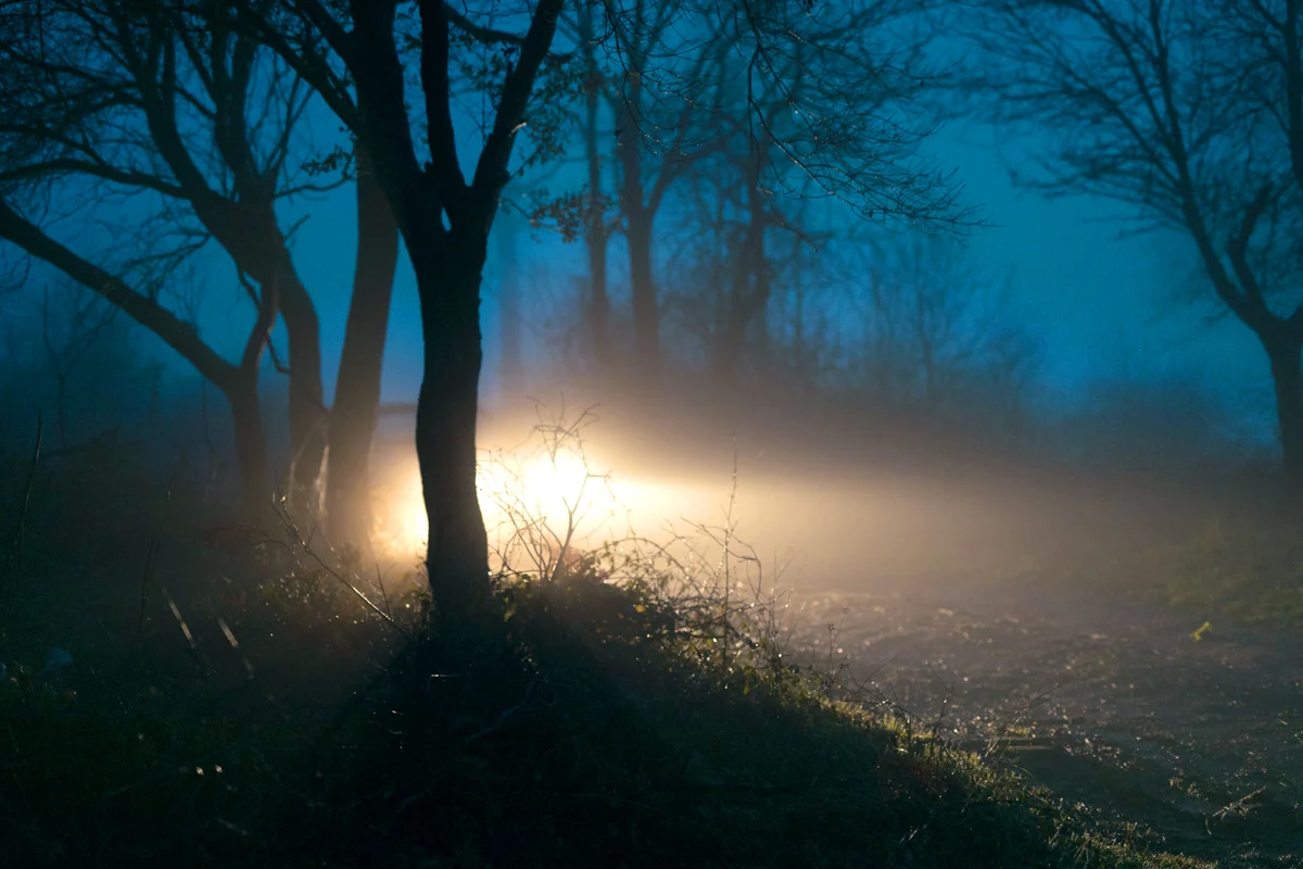 Car Lights in Fog