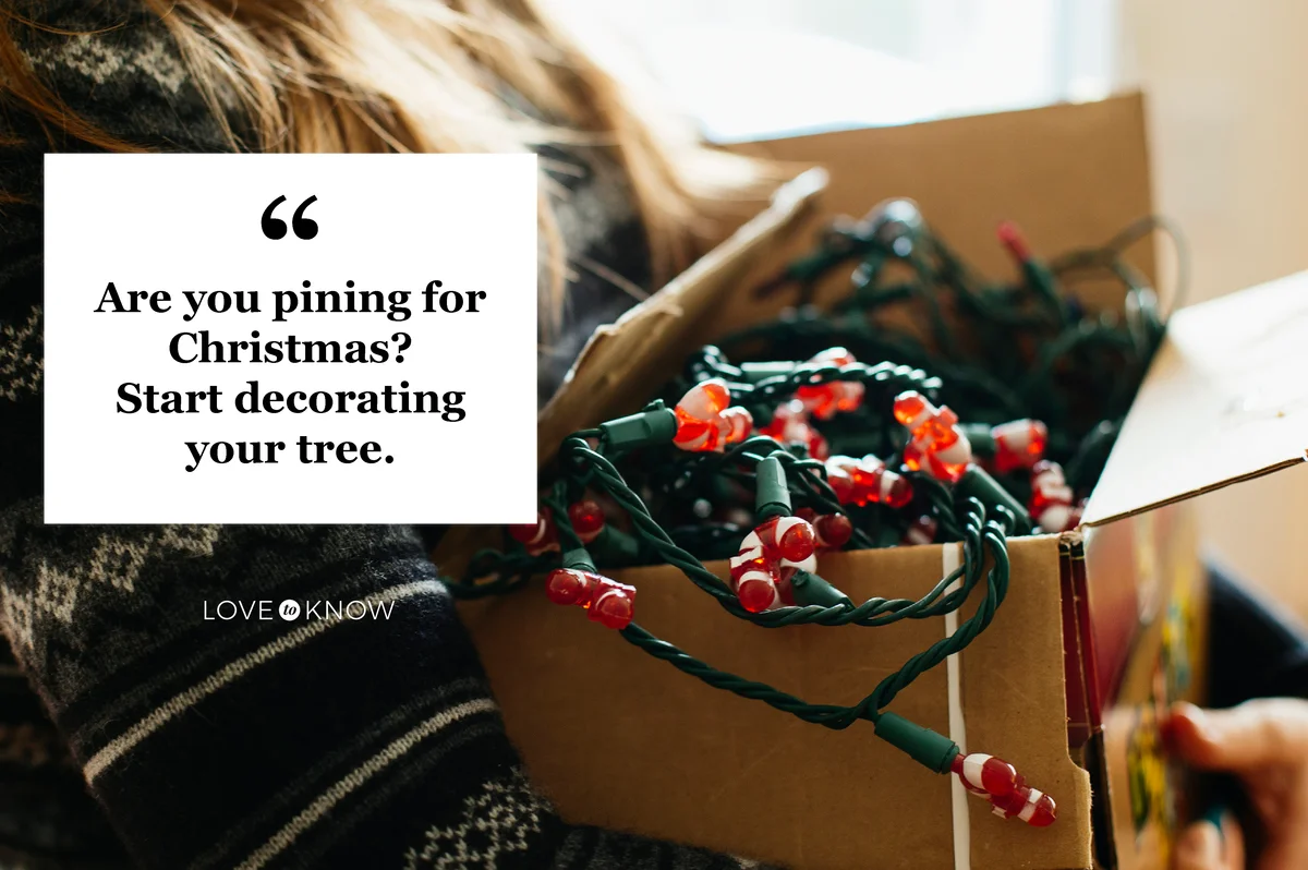 Woman carrying Christmas lights in cardboard box