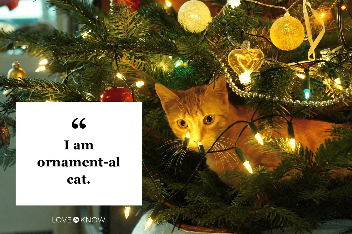 Christmas tree caption for Instagram