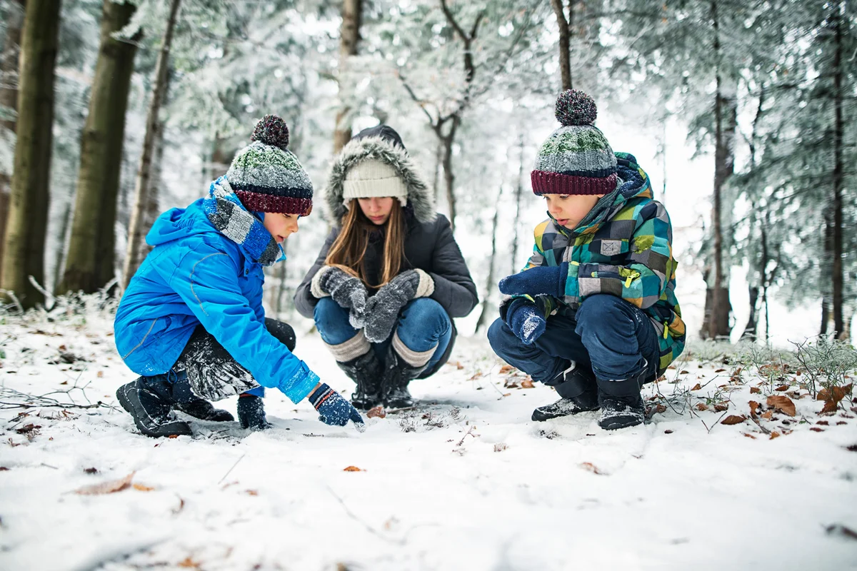Kids observing animal tracks on snow in winter forest