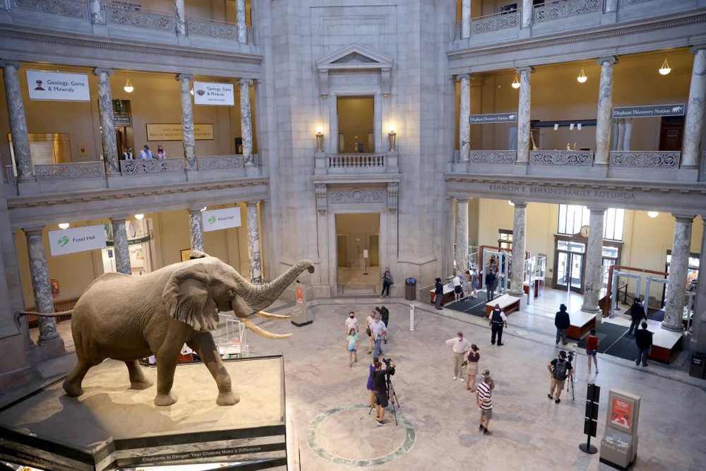 The Smithsonian's Natural Museum of Natural History