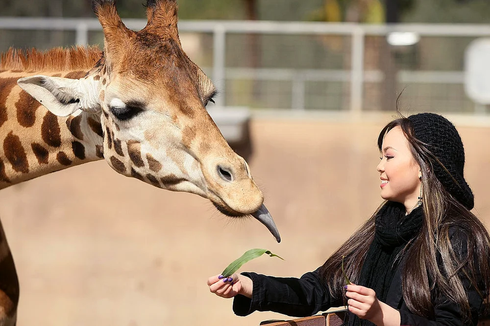 San Diego Zoo Safari Park