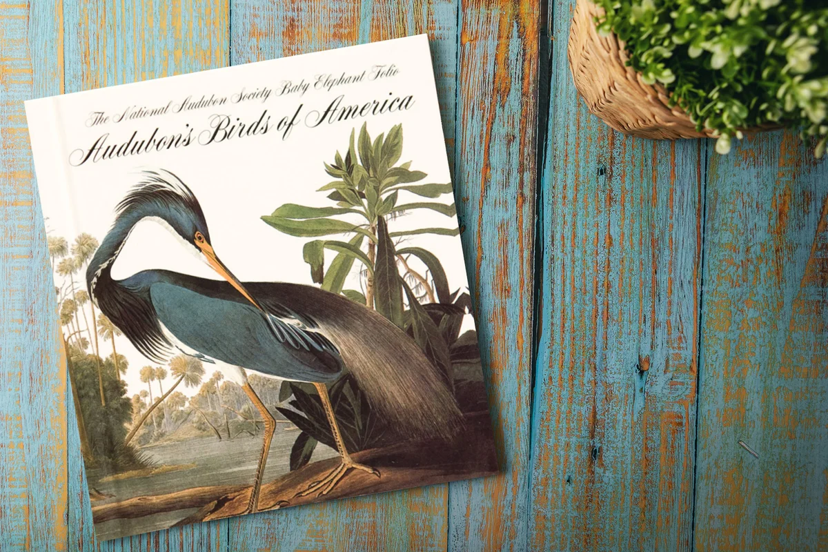 Audubon Birds of America