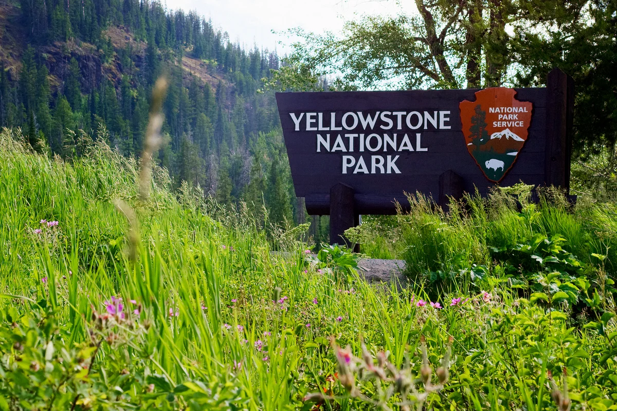 The Yellowstone National Park Welcome Sign Surrounded by Forest and the Rocky Mountains