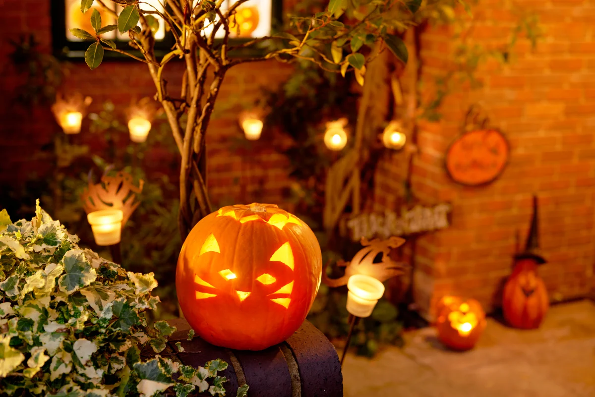 pumpkin decoration in courtyard