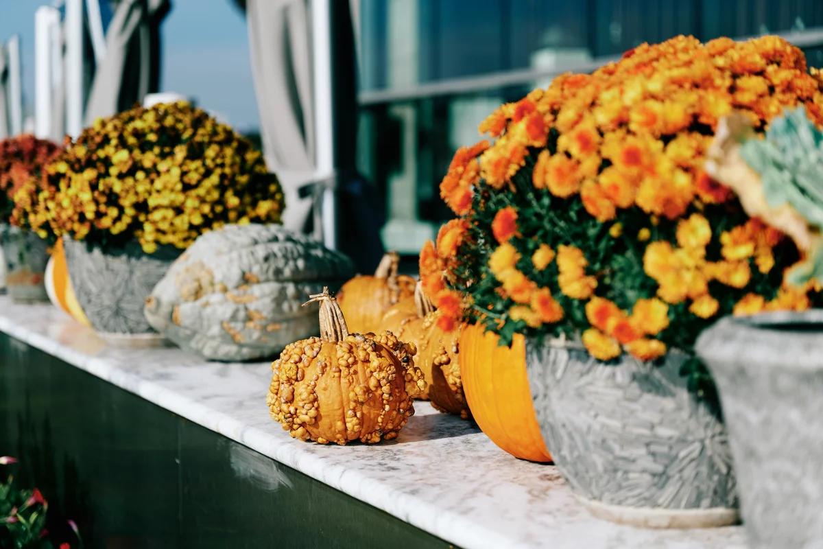 garden inspired mums flowers halloween decoration