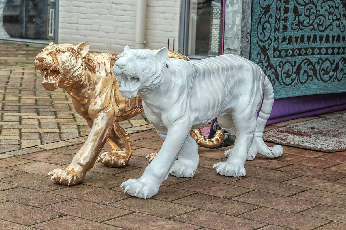 golden and white stone tigers on the street