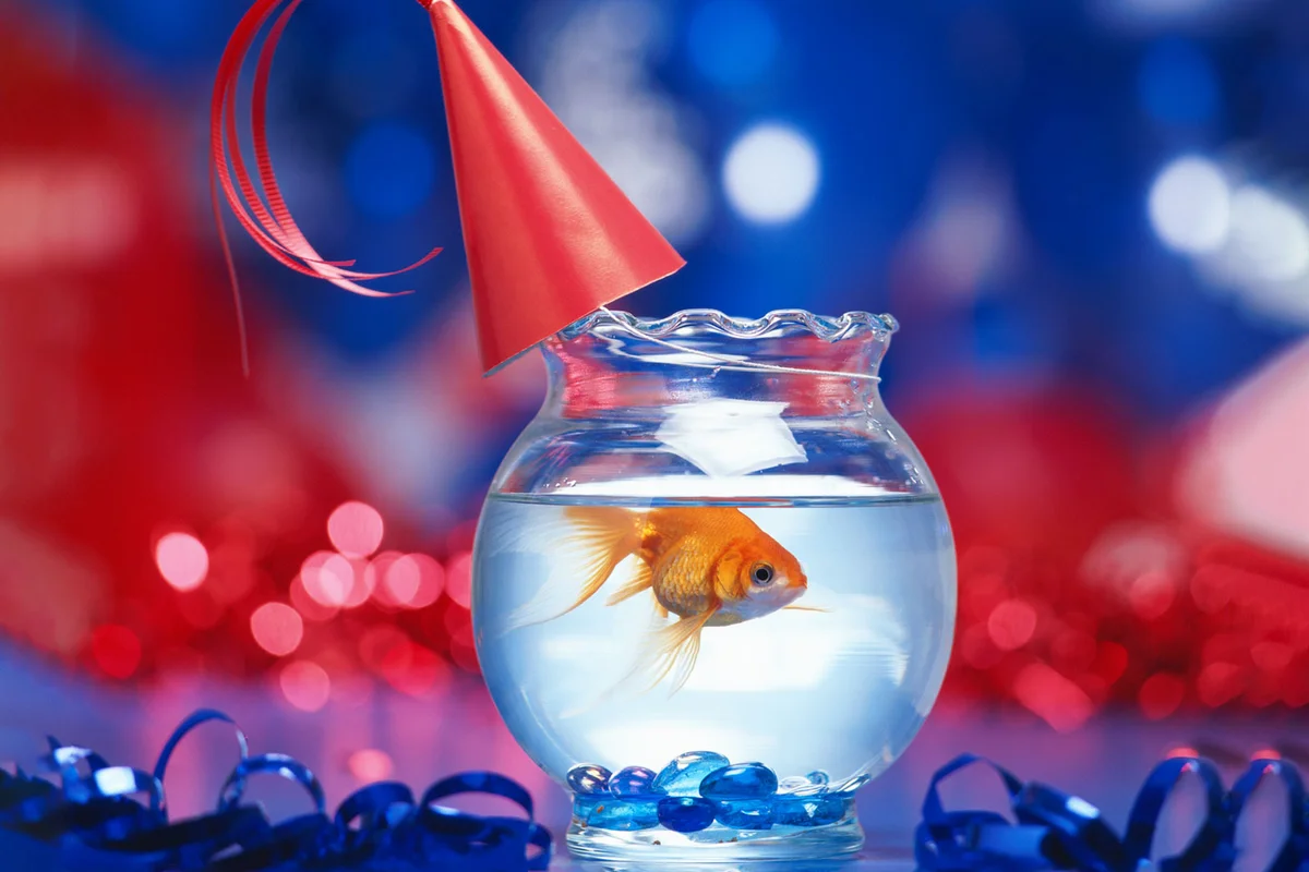goldfish theme party