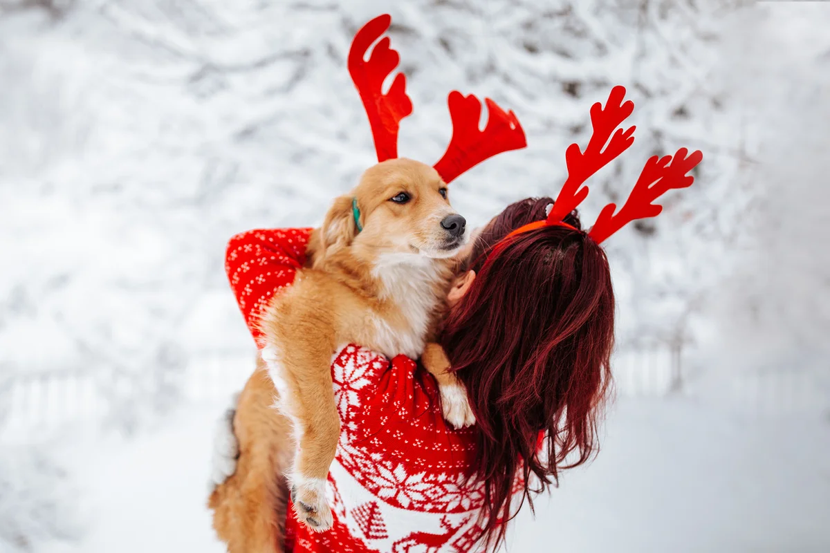 Woman and dog with reindeer horns enjoying snow