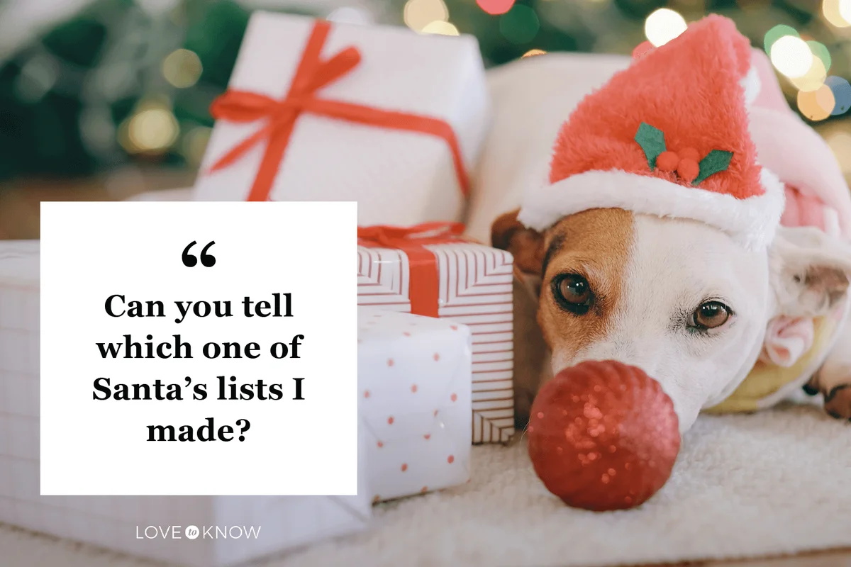 Christmas caption for mischievous dogs