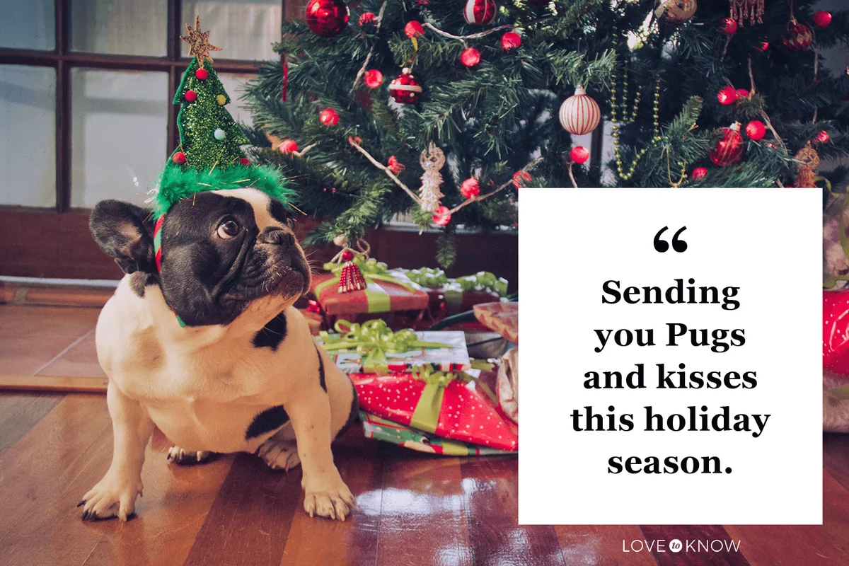 Christmas dog pun caption