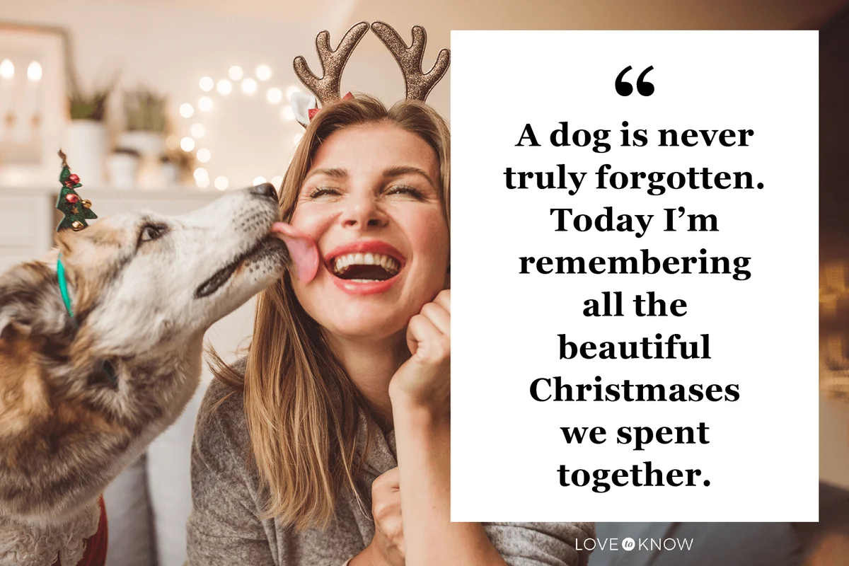 Caption for dogs who have passed on