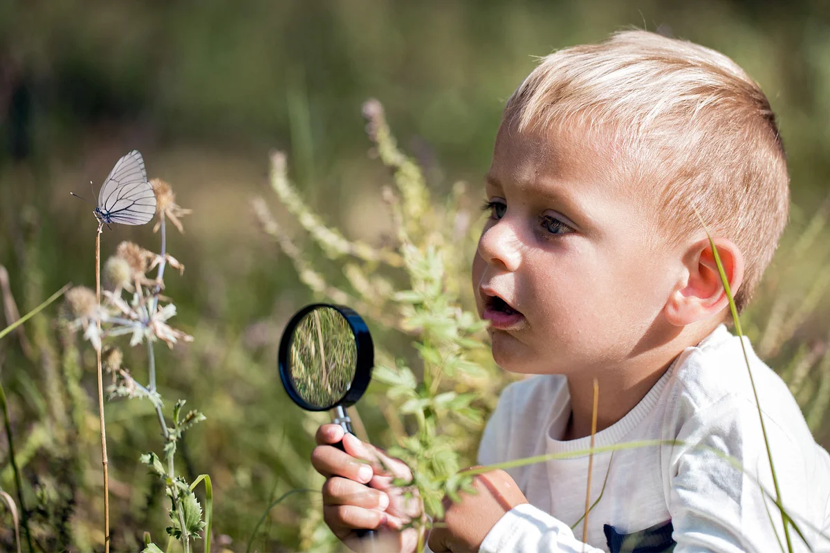toddler boy looking at butterfly with magnifying glass