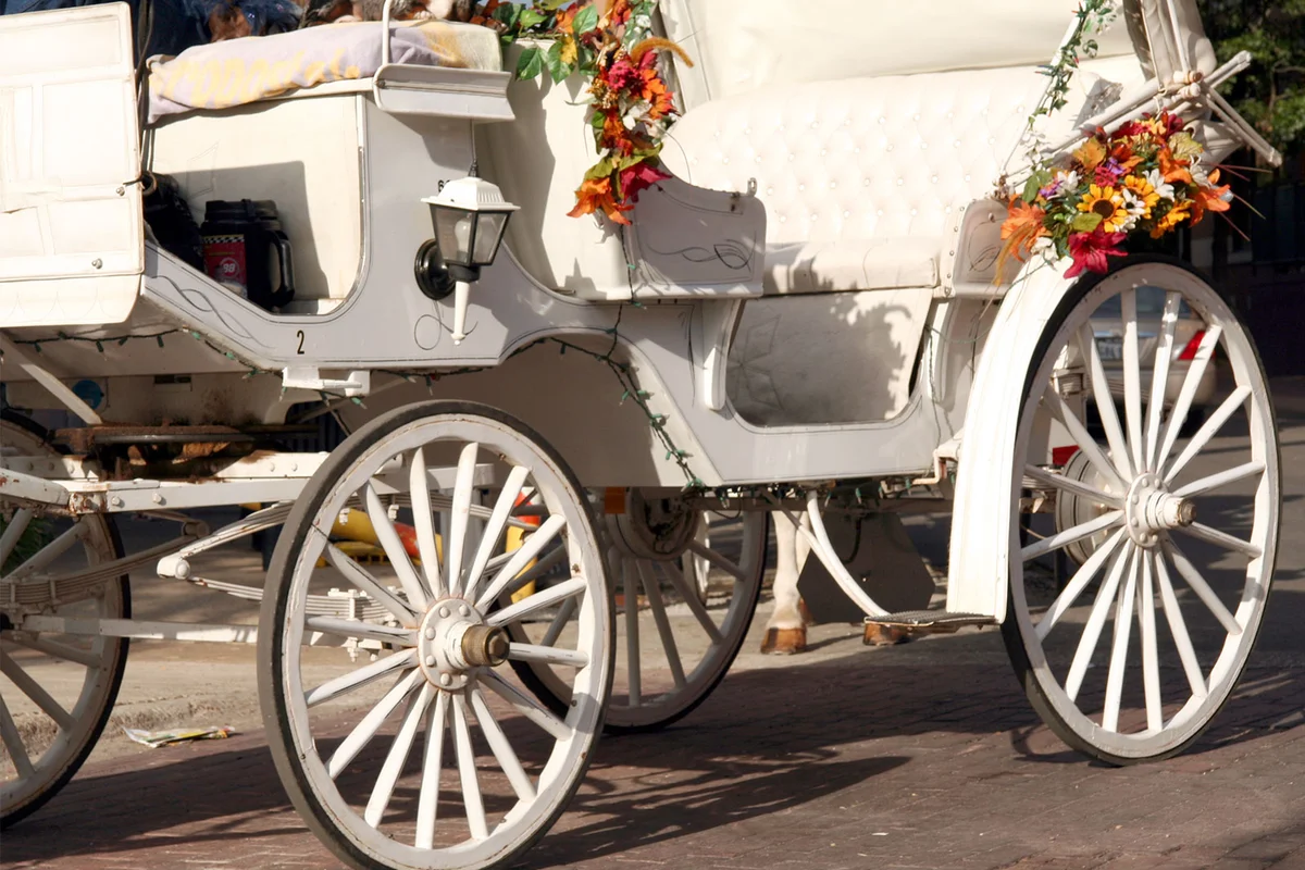 fairytale wedding carriage