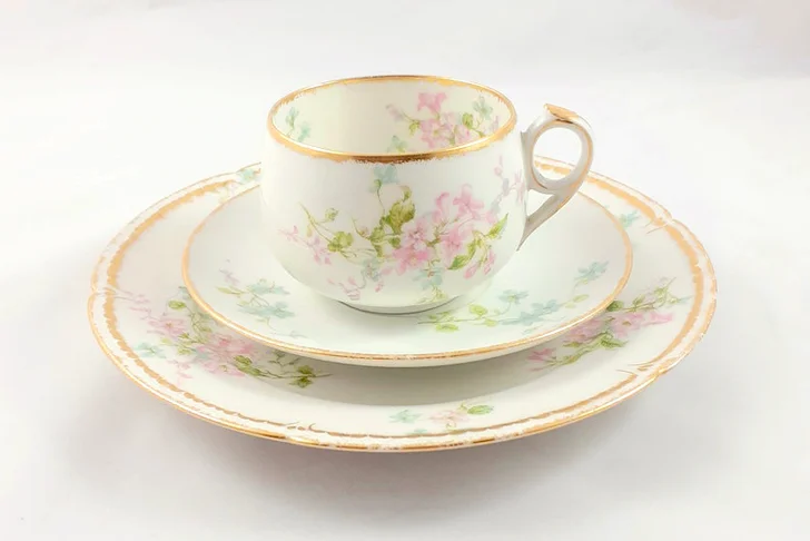 Limoges Tea Trio with Pink and Blue Flowers