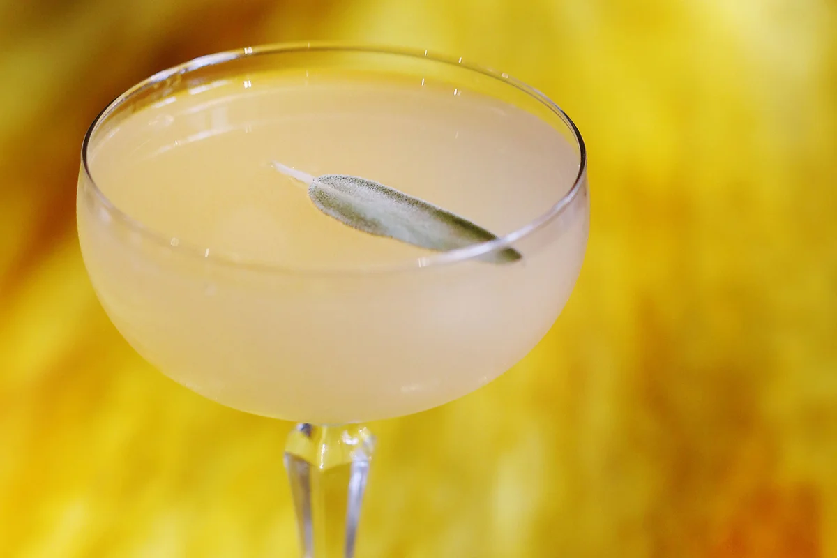 Winter Sage Gin Martini