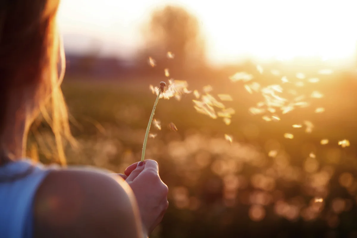 Young woman blowing a dandelion