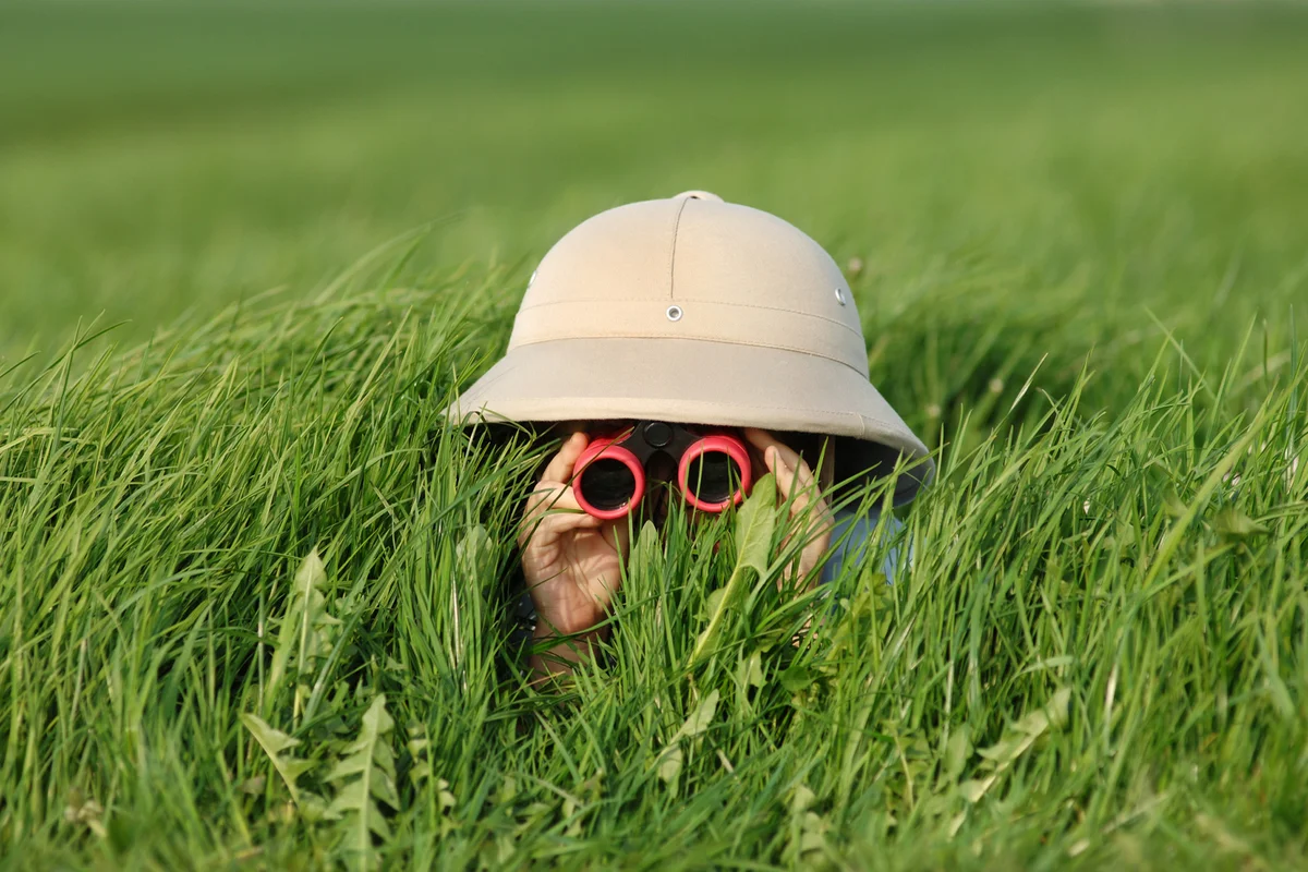 little boy in high grass searching for something