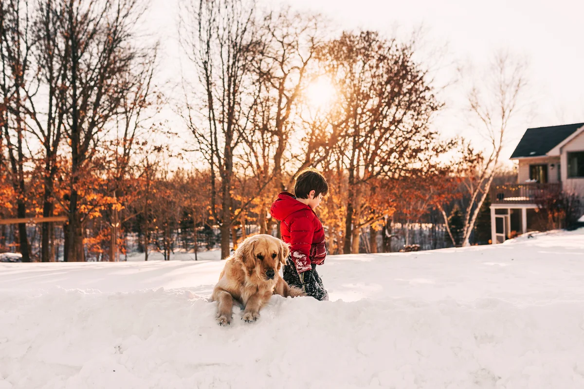 Boy playing in the snow with his golden retriever dog