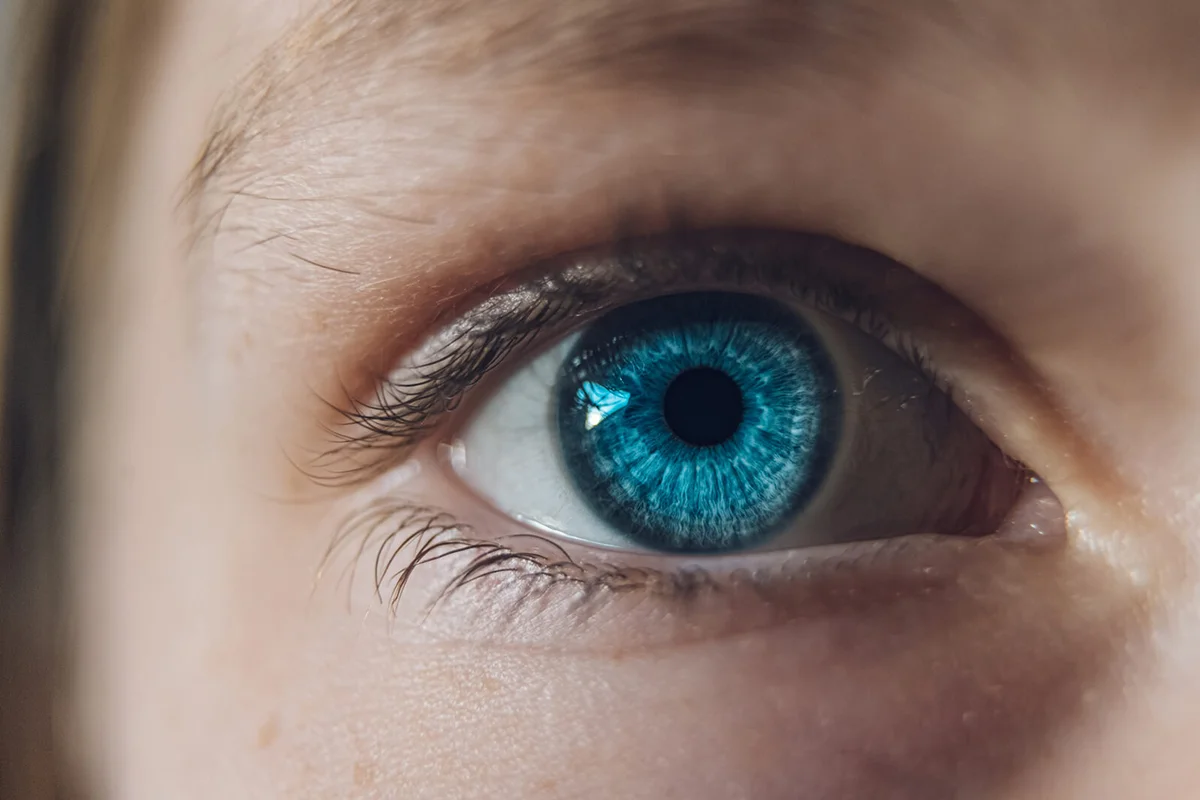 Woman Eye