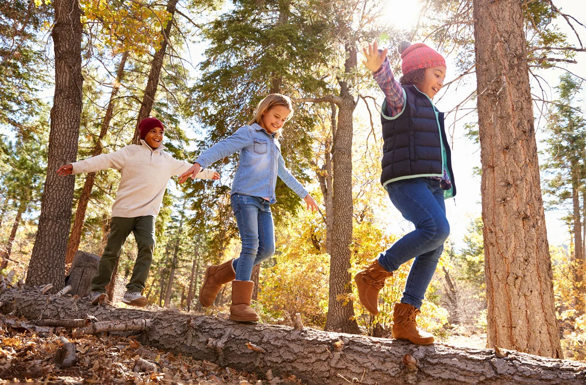 children balancing on tree trunk