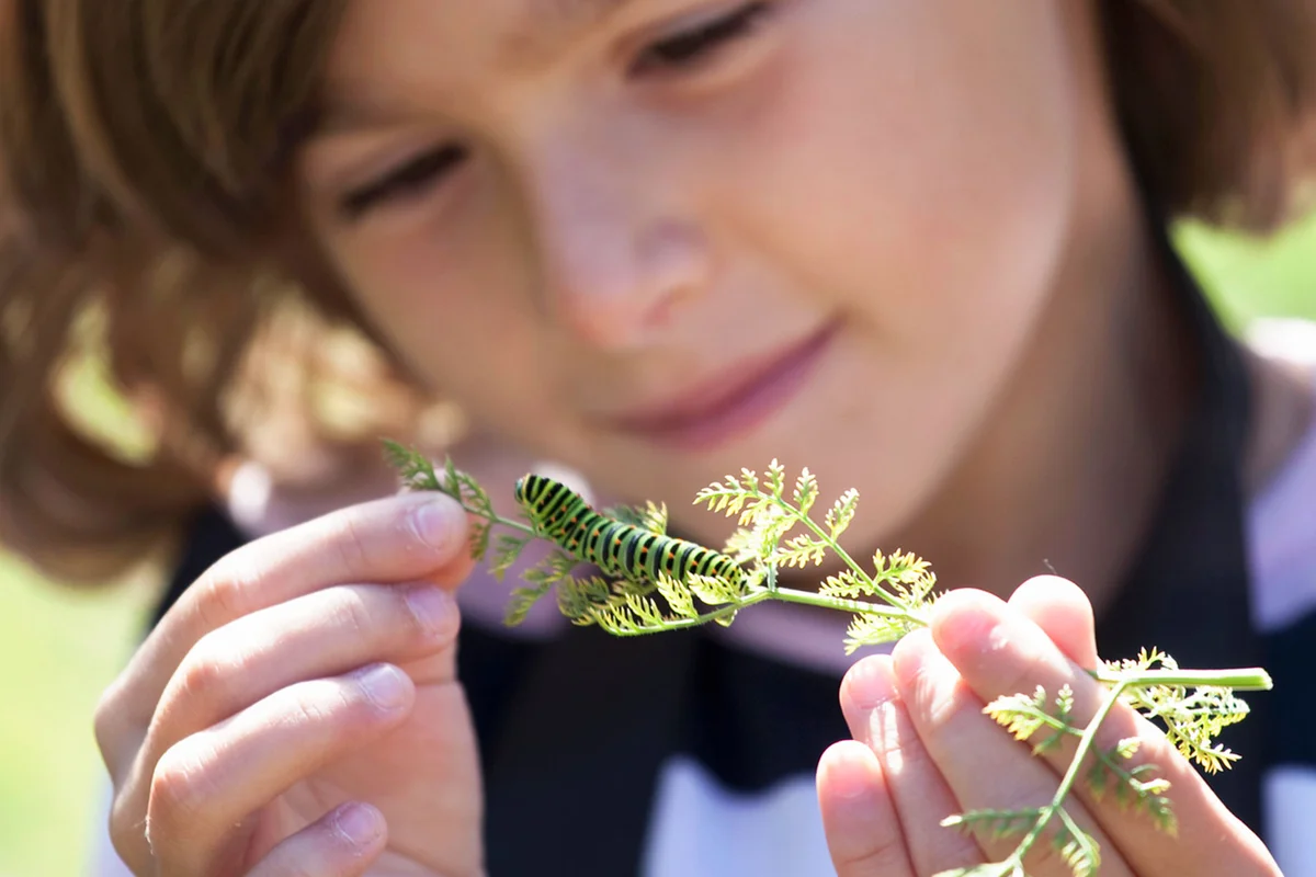 girl holding branch with caterpillar