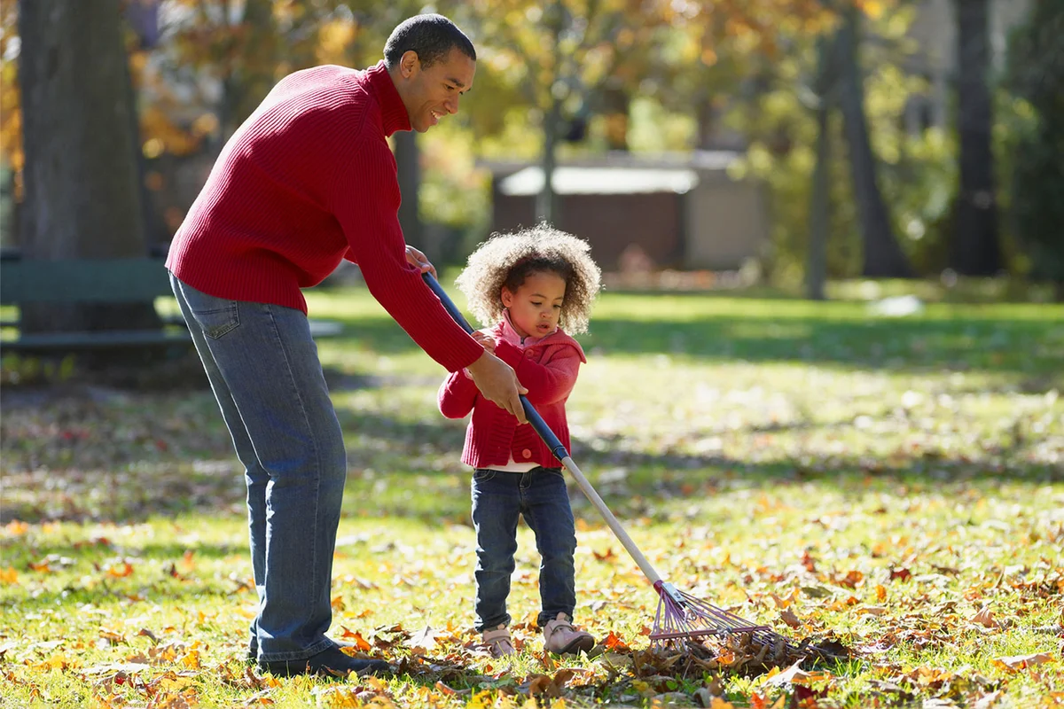 father and daughter raking autumn fall leaves
