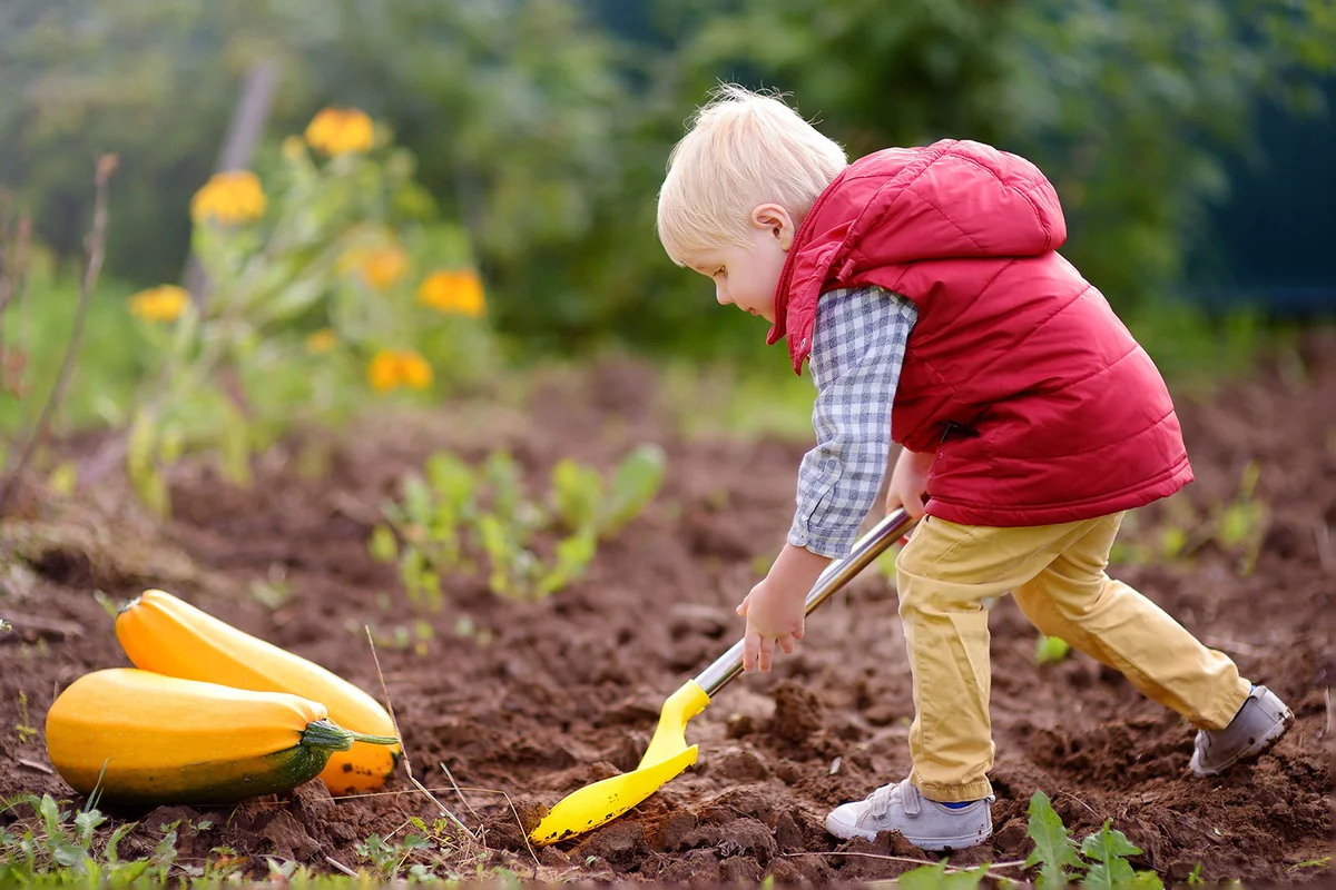 boy cleaning garden for fall