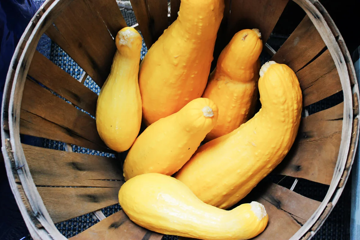 yellow squash in round wooden basket with rim
