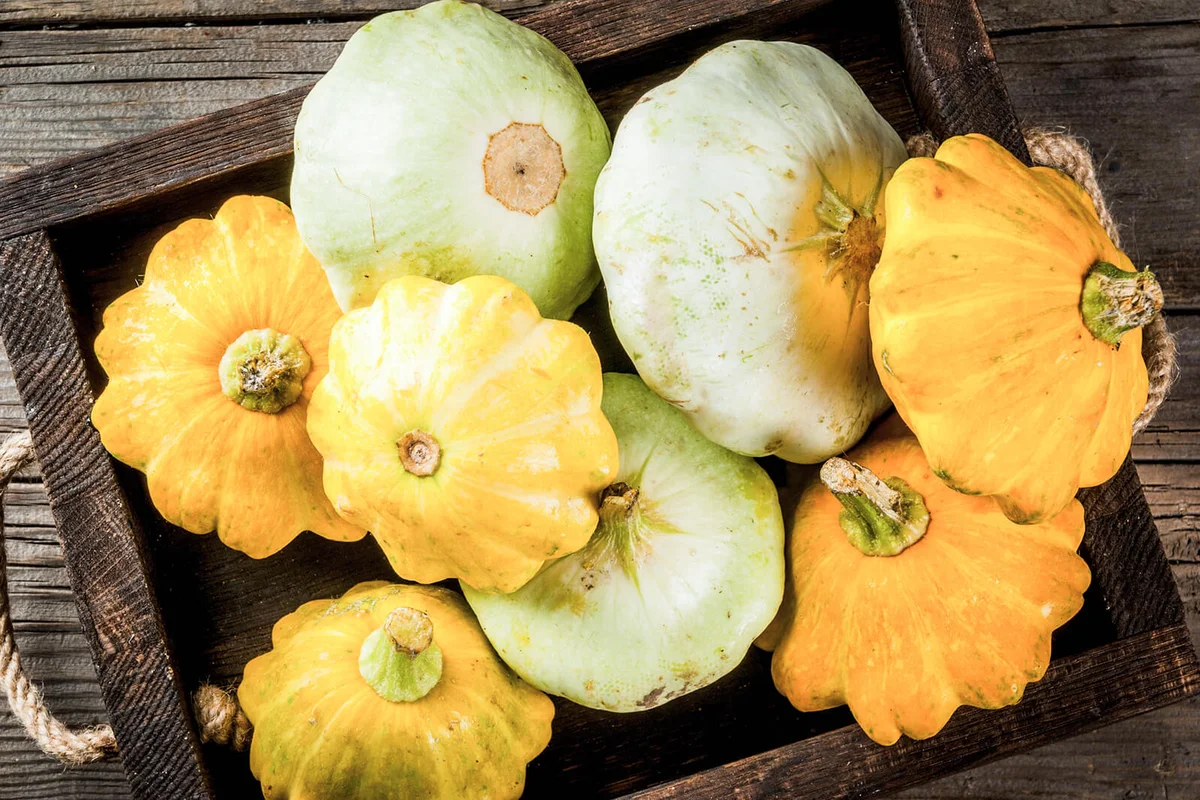 Raw farm squash patty pan