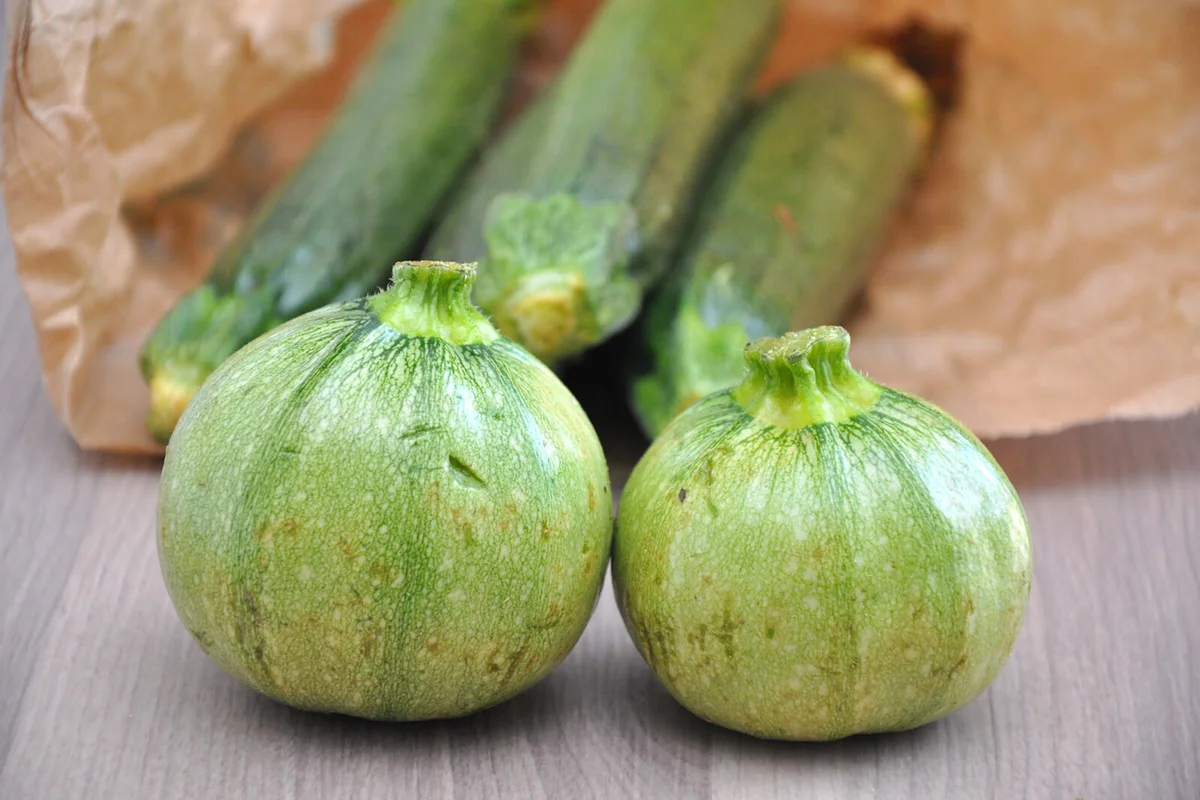 Courgette or zucchini