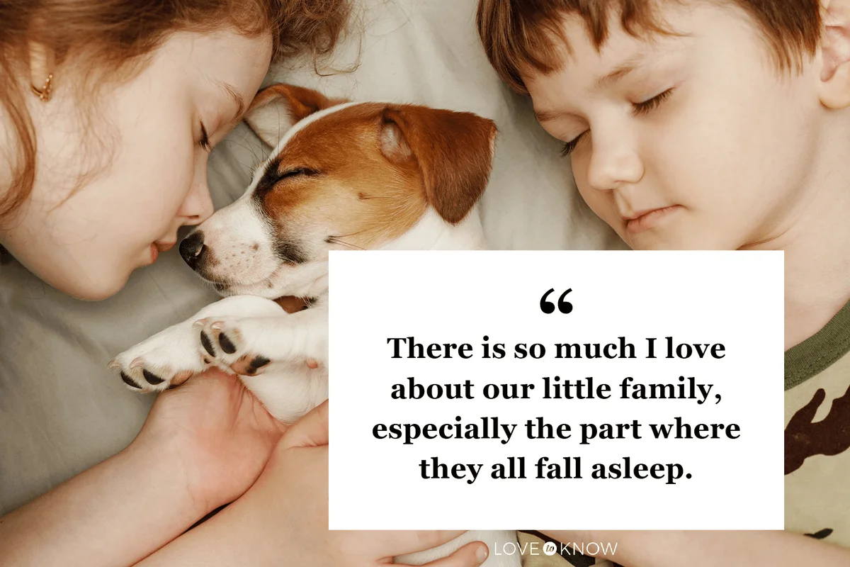 Funny Family Quote That Describe Parenthood to a Tee