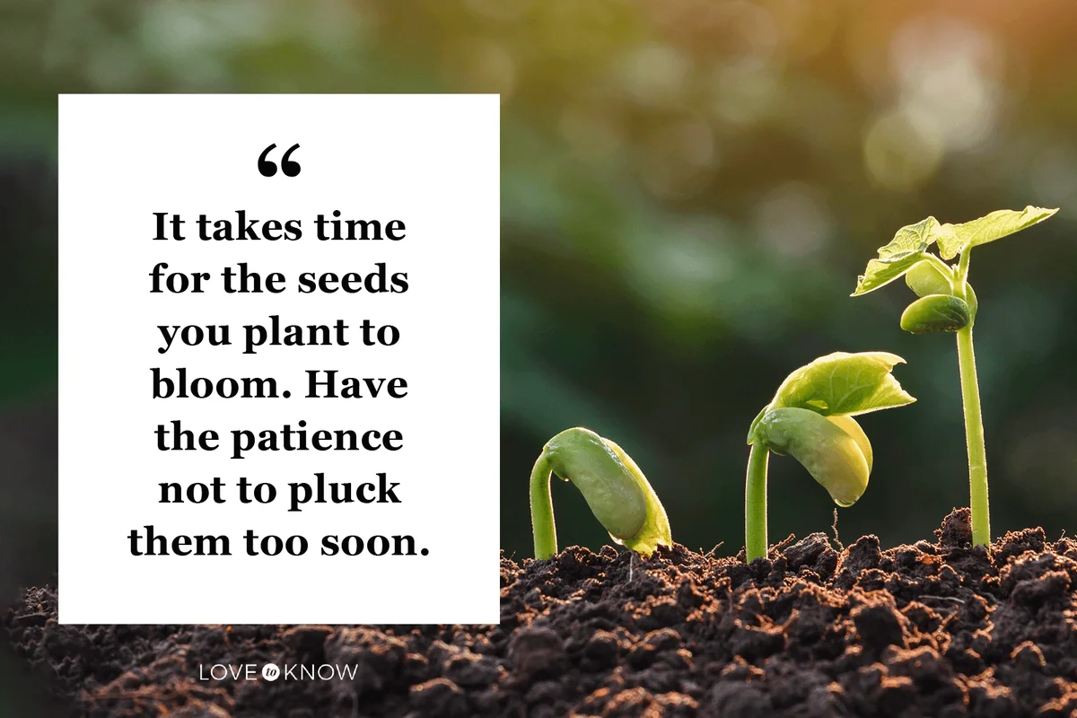 Patience Quote for Work