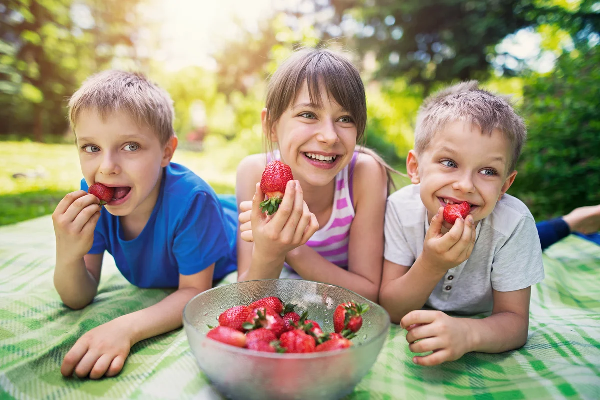 Children having picnic and eating strawberries in garden