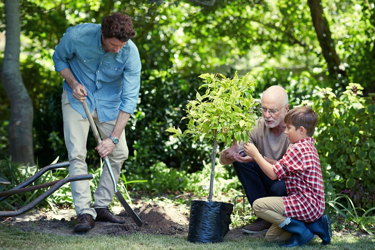 Three generation male family gardening together