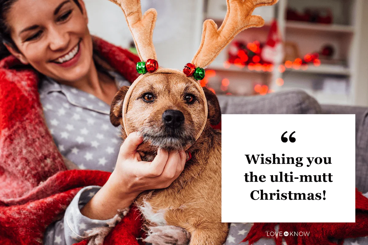 Punny Dog Christmas Greetings