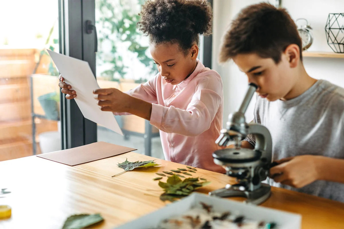 children doing science experiment with leaves