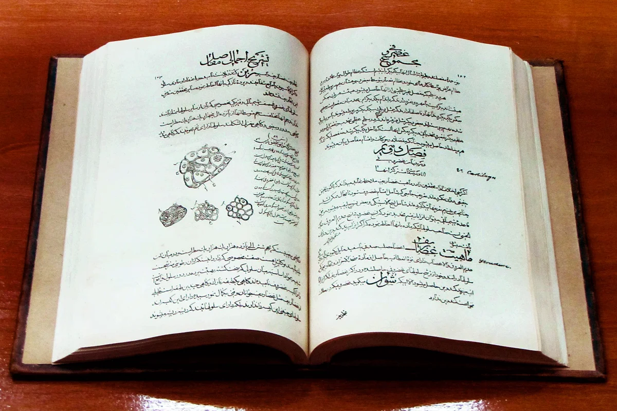 The Canon of Medicine
