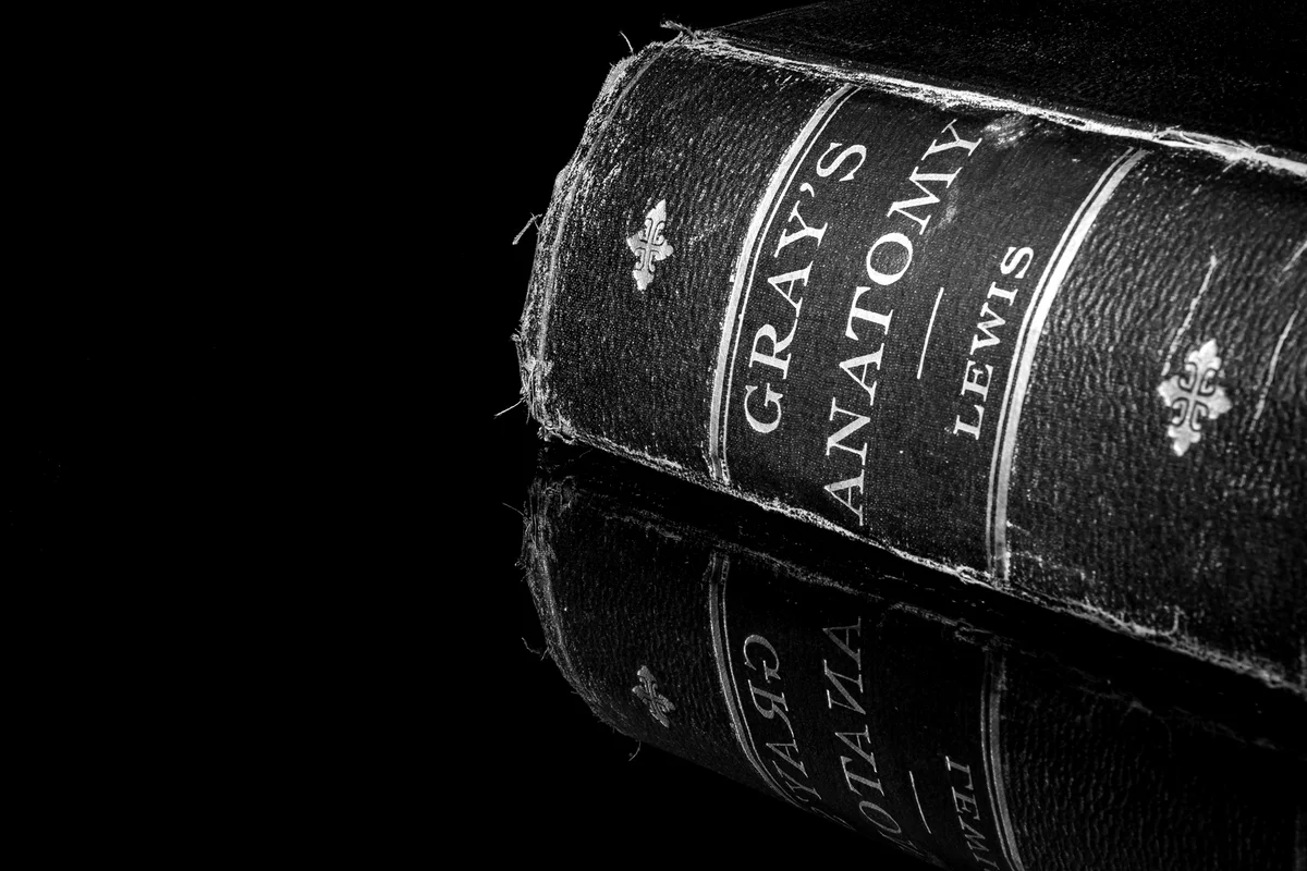 Old Gray's Anatomy textbook