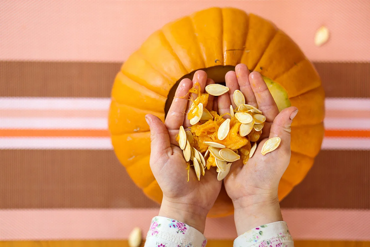 A girl taking seeds out of her freshly carved Halloween pumpkin