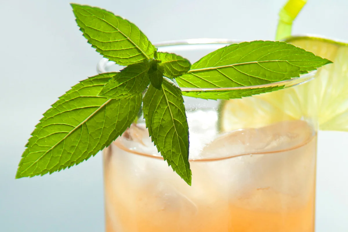 Sea breeze fizz cocktail