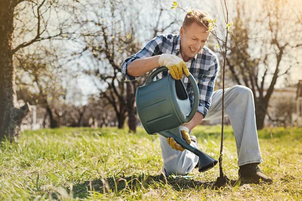 Positive adult man watering a tree